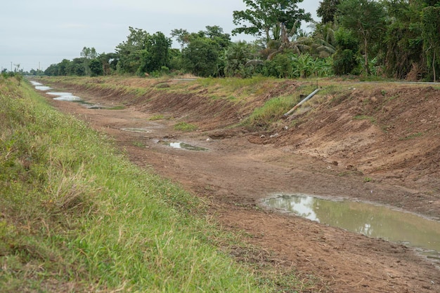 Água em canais secos da estação seca na Tailândia