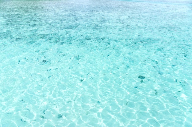 Água marinha turquesa de lagoa tropical