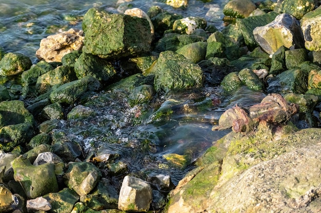 Água que flui do bueiro na margem de um rio