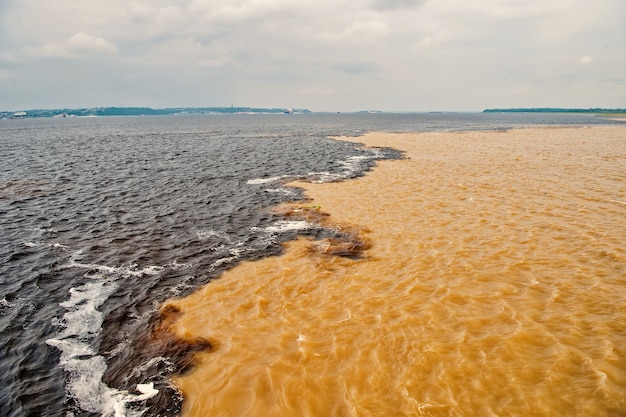 Água se encontrando no Brasil - rio Amazonas com rio del negro Água limpa e suja de rio com diferentes riachos