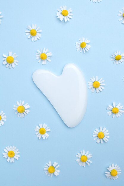 Gua sha Stein für Gesichtsmassage Kamillenblüten auf blauem Hintergrund Spa-Konzept für Gesichts- und Körperpflege