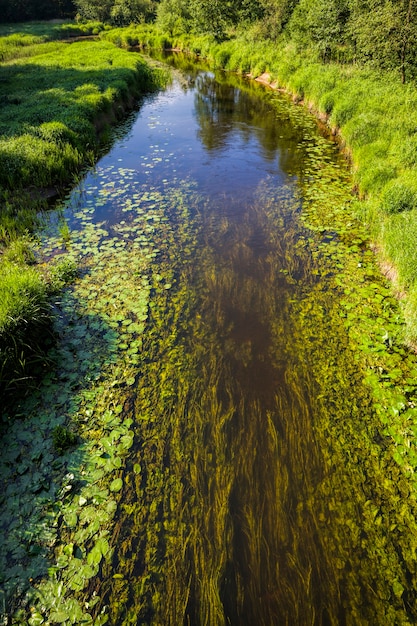 Água suja em um lago