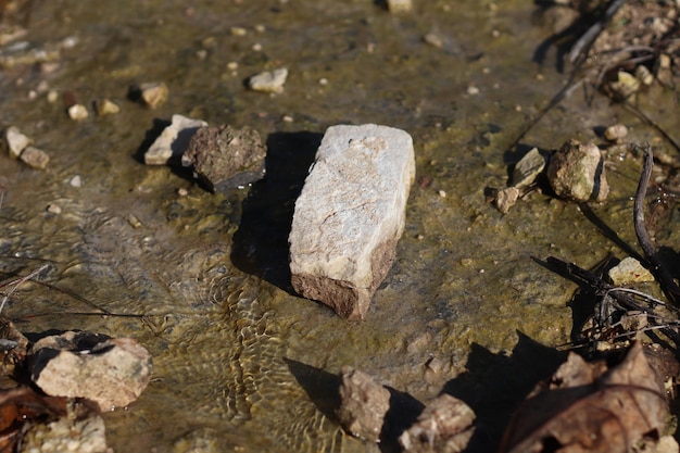 Água, terra e pedras Em uma textura harmoniosa e bonita Foto Grátis