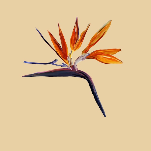 Foto guache pintou ave do paraíso. ilustração em aquarela com ramo realista de strelitzia isolada em amarelo. flor ave do paraíso pintada na ilustração botânica de hortelã.