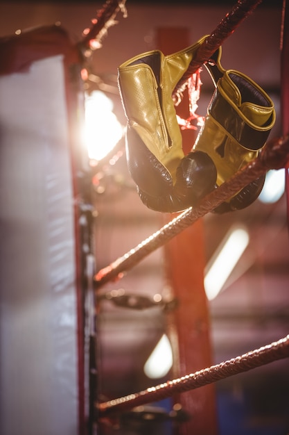 Guantes de boxeo amarillos colgando del ring de boxeo