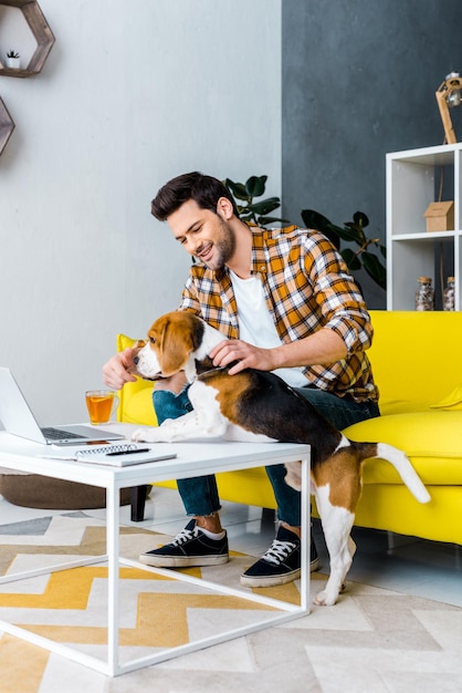 Guapo freelancer sonriente trabajando en la computadora portátil en la sala de estar con perro