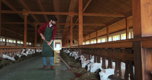 Foto guapo trabajador agrícola limpiando y alimentando cabras agricultura ecológicamente amigable