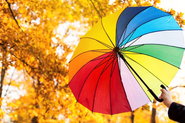 Guarda-chuva multicolor na mão no parque outono