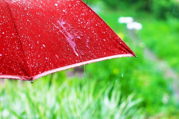 Guarda-chuva vermelho sob a chuva de verão no fundo de um jardim verde