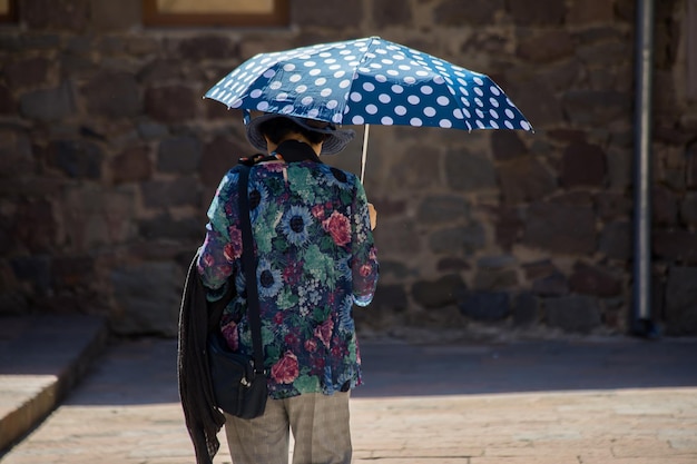 Guarda-chuva