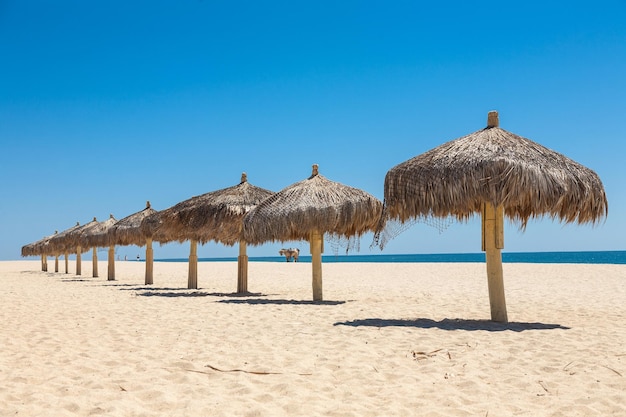 Guarda-chuvas artesanais de palha em uma praia do Mar de Cortez em San Jose del Cabo México