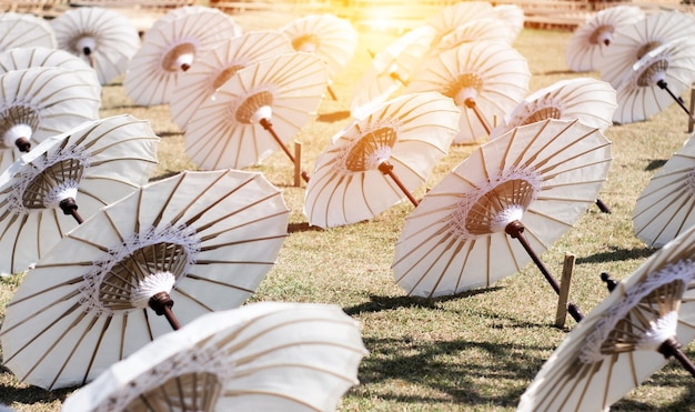 Guarda-chuvas de beleza colocados simetricamente no chão