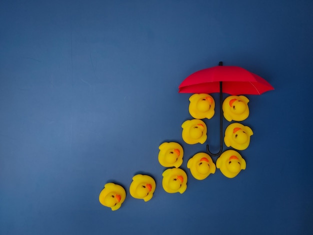 Guarda-chuvas vermelhos e patos amarelos sobre fundo azul O conceito de cobertura de seguro