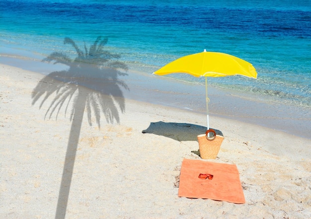 Guarda-sol e sombra de palmeira em uma costa tropical