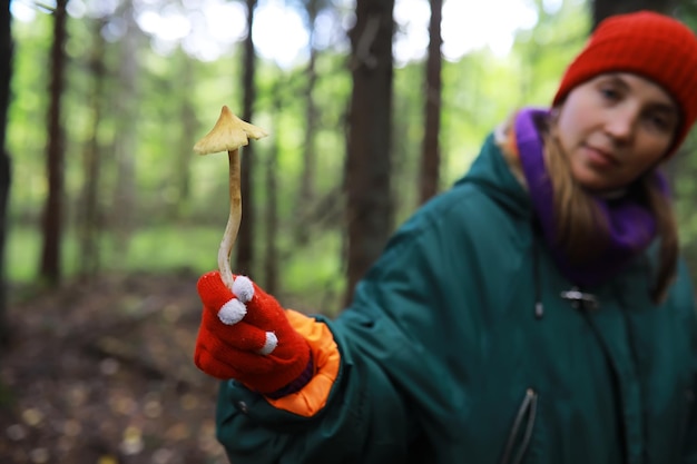 El guardabosques recolecta hongos en el bosque Cosecha de hongos silvestres Caminata al parque forestal con agáricos de mosca