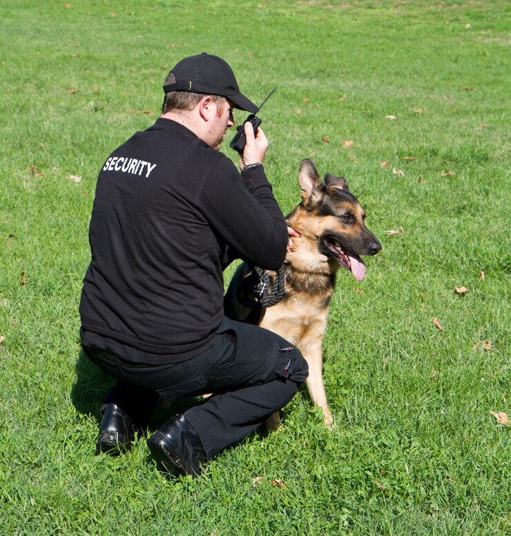 Guardia de seguridad