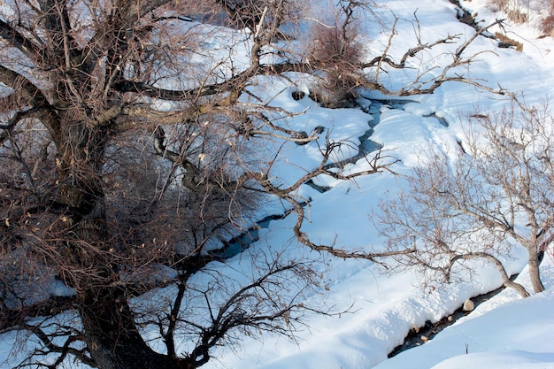 Águas de neve de córrego pequeno