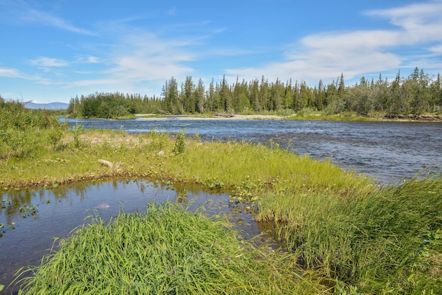 Guijarro en el río del norte