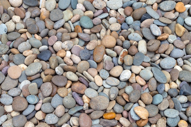 Guijarros piedras de mar para el fondo