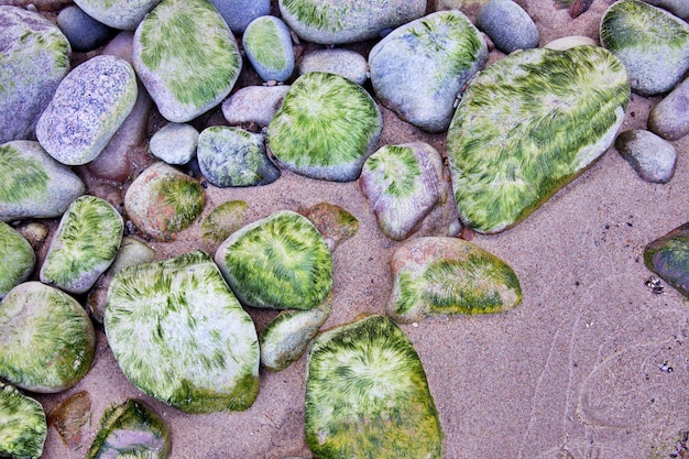 Foto guijarros en la playa de arena