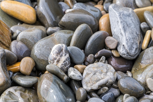 Guijarros en la playa de cerca.