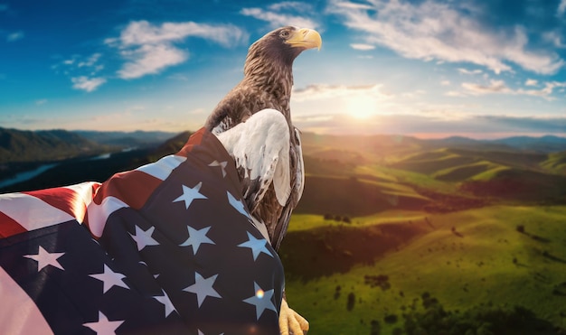 Águila con bandera americana en el fondo del atardecer de verano