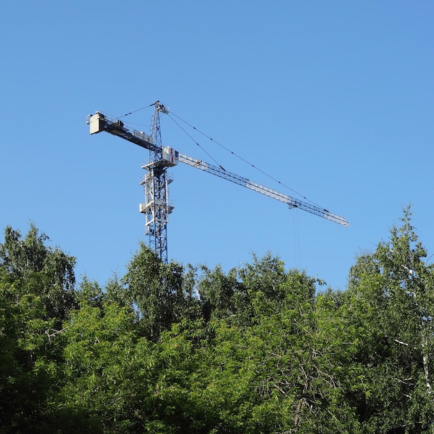 Guindaste de construção sobre as árvores verdes