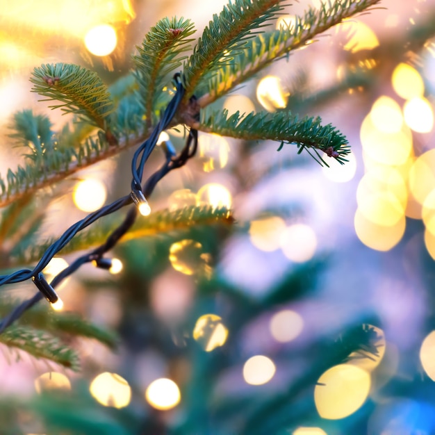 Guirlanda de natal na árvore de natal com fundo desfocado