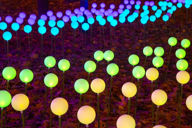 Guirlandas de bolas brilhantes coloridas na decoração do festival de cores da luz da rua do parque da cidade