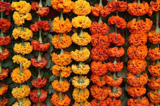 Foto guirlandas de margarida adornando um altar festivo