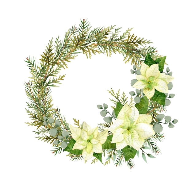 Guirnalda de flores navideñas de acuarela Ramas de poinsettia blanca de abeto y vegetación de invierno