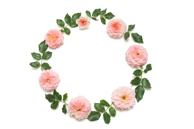 Guirnalda con hojas y flores de rosas rosadas aisladas sobre fondo blanco. Tarjeta de boda hermosa. Hoja, verano y primavera. Espacio para texto. Endecha plana, vista superior