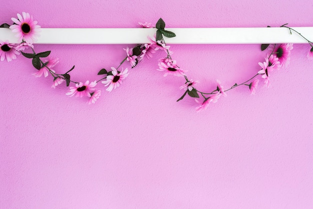 Guirnalda de margaritas púrpuras rosas coloridas alegres que cuelgan en la textura de fondo de la pared rosa hermosa