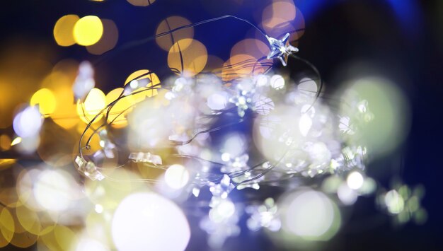 Guirnalda navideña de botellas de vidrio, frascos con una planta en su interior. Concepto de Navidad y año nuevo. Una guirnalda de bombillas con una hermosa luz y bokeh.