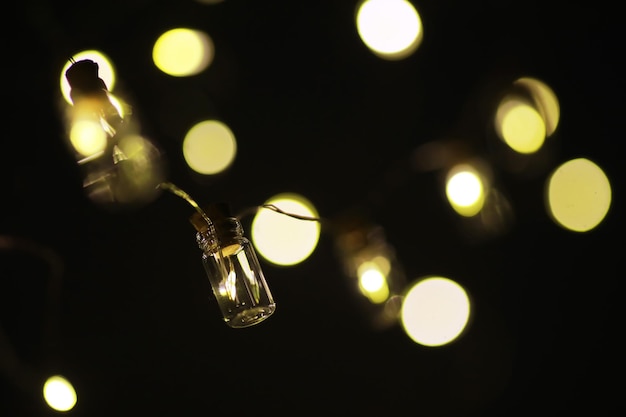 Guirnalda navideña de botellas de vidrio, frascos con una planta en su interior. Concepto de Navidad y año nuevo. Una guirnalda de bombillas con una hermosa luz y bokeh.
