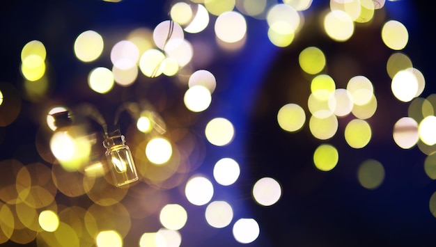 Guirnalda navideña de botellas de vidrio, frascos con una planta en su interior. Concepto de Navidad y año nuevo. Una guirnalda de bombillas con una hermosa luz y bokeh.