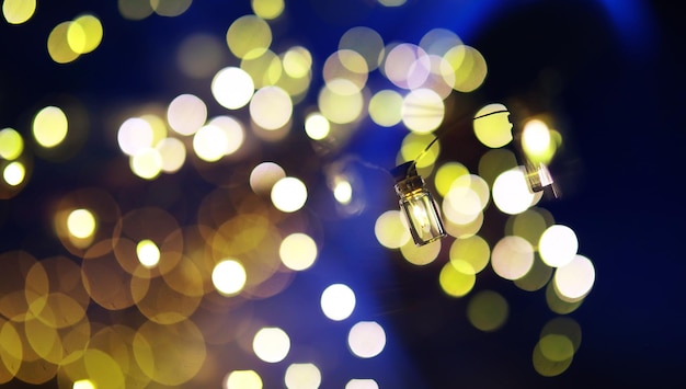 Guirnalda navideña de botellas de vidrio, frascos con una planta en su interior. Concepto de Navidad y año nuevo. Una guirnalda de bombillas con una hermosa luz y bokeh.