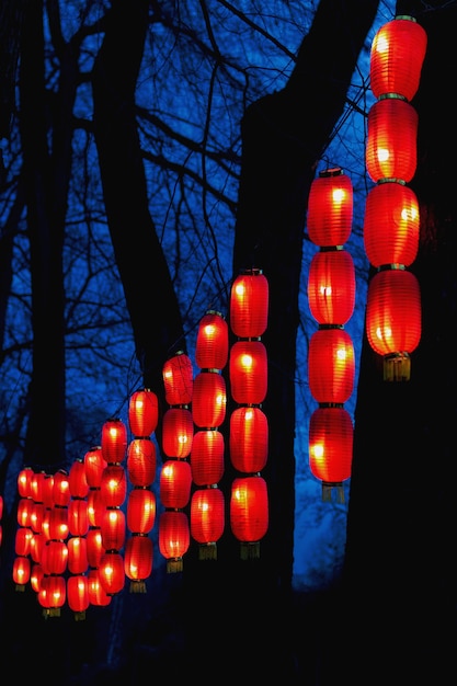 Guirnaldas de linternas chinas rojas en el parque por la noche en el Festival del Año Nuevo Chino