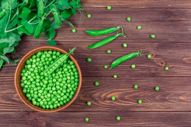 Guisantes verdes frescos en un bol contra el fondo de brotes de hojas ramitas de guisantes