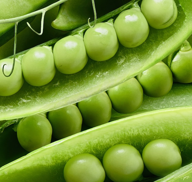 Guisantes verdes frescos en vainas Fondo de primer plano. Comida sana