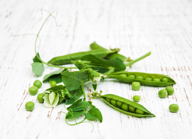 Guisantes verdes con hojas y flores.