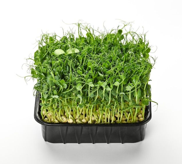 Guisantes verdes microgreen aislado en blanco