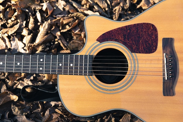 Guitarra acústica en el bosque entre hojas secas de otoño