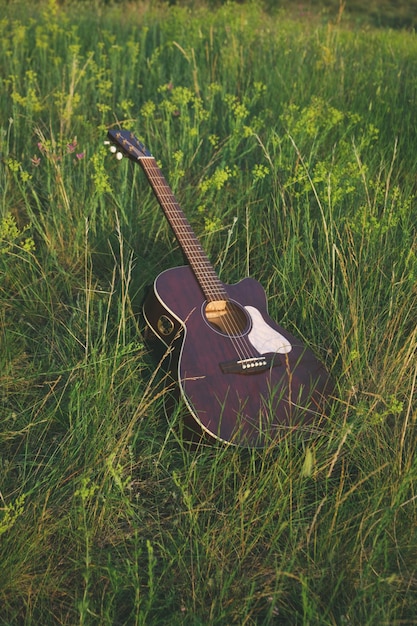 Foto guitarra acústica en la hierba instrumento musical guitarra en las flores clásico