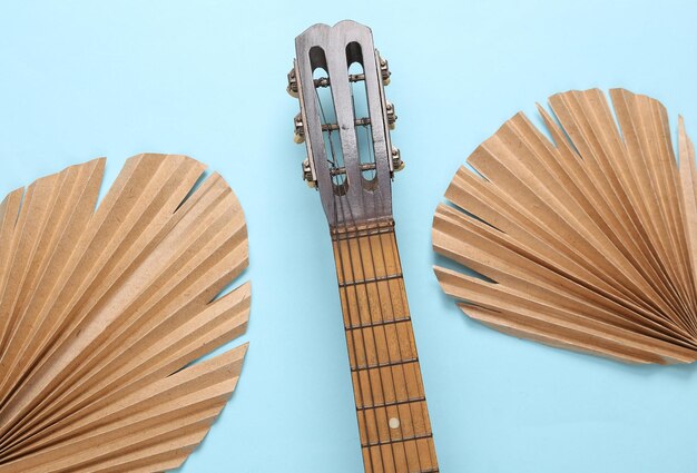 Guitarra acústica y hojas de palma secas tropicales sobre fondo azul.