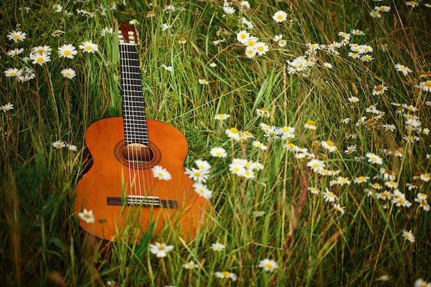 Guitarra acústica tirado en el pasto verde con manzanilla