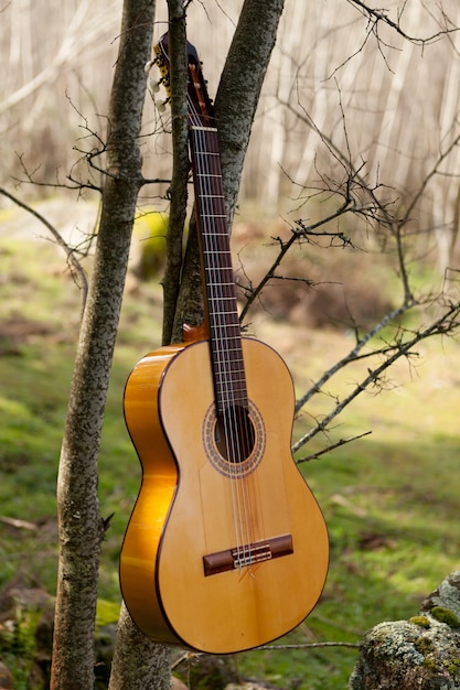 Guitarra clásica colgando de un árbol