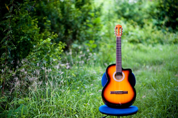 Guitarra e natureza Boa atmosfera