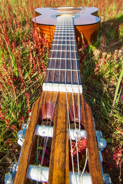 Guitarra Española