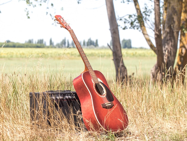 guitarra en la naturaleza